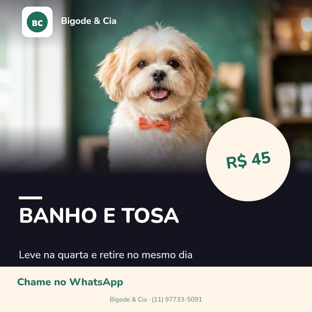Exemplo de post — Pet shop
